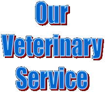 Our
Veterinary
Service