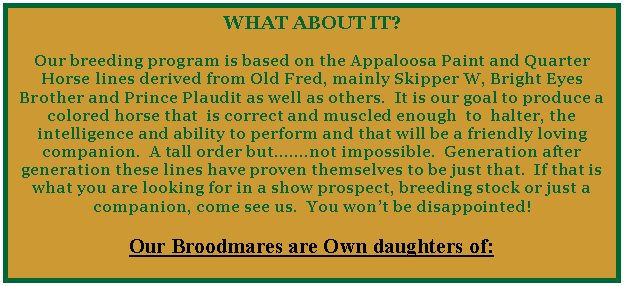 Text Box: WHAT ABOUT IT?Our breeding program is based on the Appaloosa Paint and Quarter Horse lines derived from Old Fred, mainly Skipper W, Bright Eyes Brother and Prince Plaudit as well as others.  It is our goal to produce a colored horse that  is correct and muscled enough  to  halter, the intelligence and ability to perform and that will be a friendly loving companion.  A tall order but.not impossible.  Generation after generation these lines have proven themselves to be just that.  If that is what you are looking for in a show prospect, breeding stock or just a companion, come see us.  You wont be disappointed!Our Broodmares are Own daughters of: