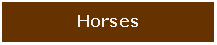 Text Box: Horses